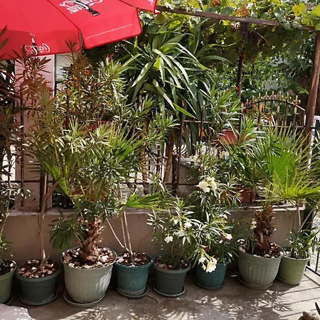 Gasthuis Ropotamo Primorsko